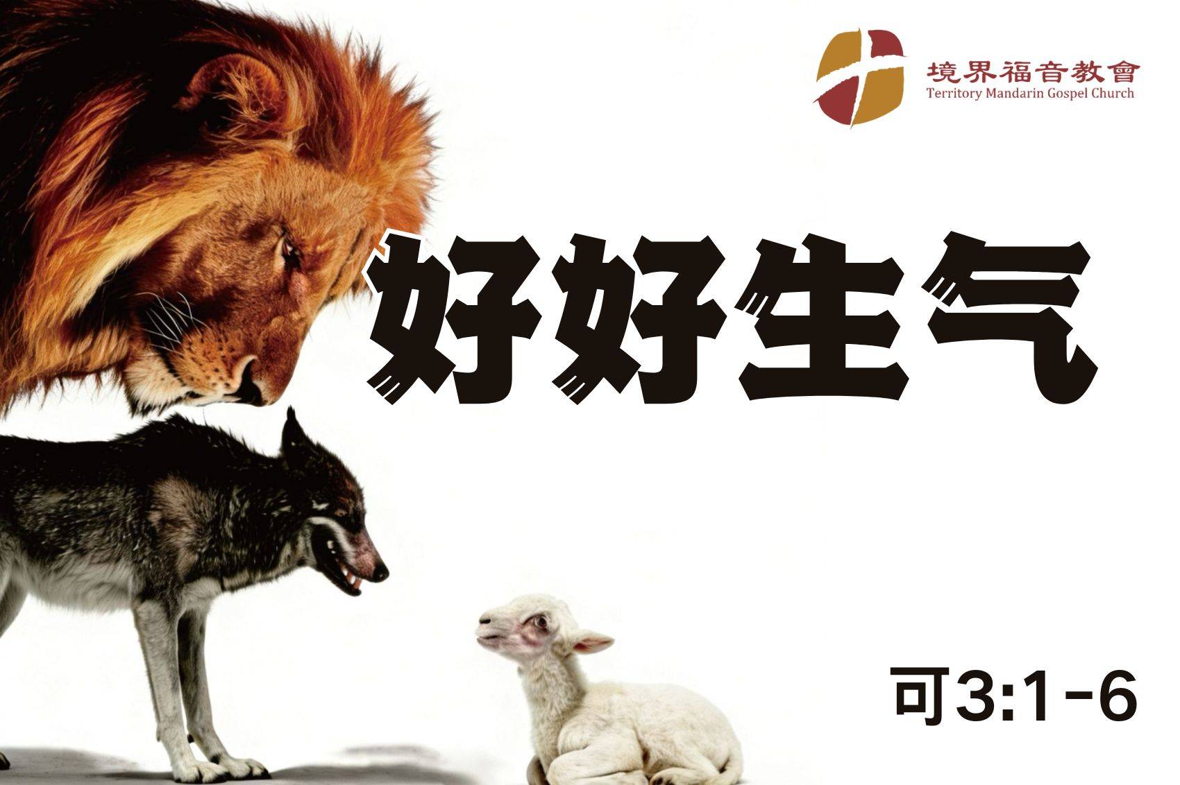 12月14日 刘阳牧师：好好生气