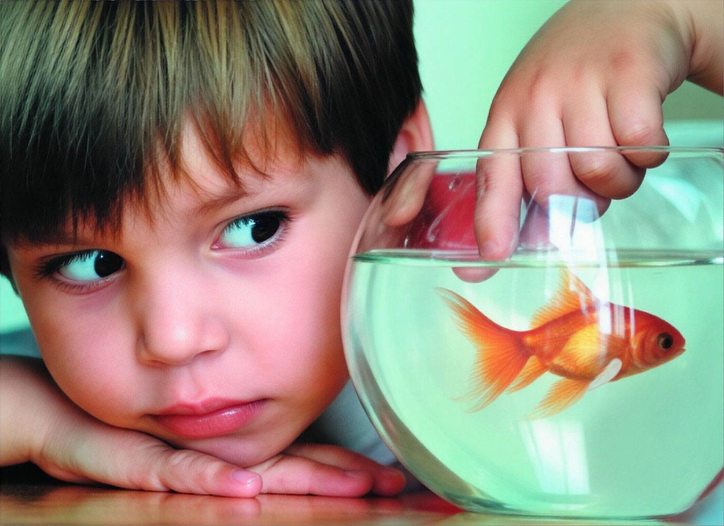 Homeschool多动症儿