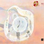 4月12日 刘阳牧师：生死每一天